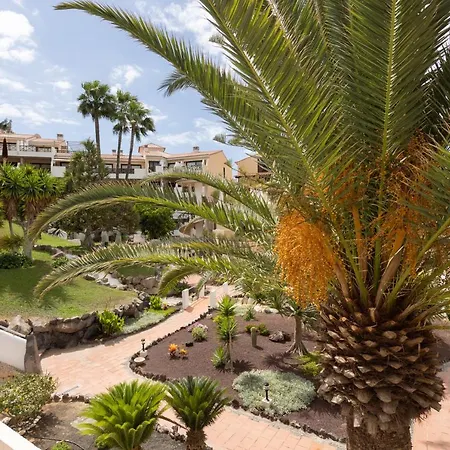 Oceanfront Tenerife South Abatros 254 公寓 圣米格尔德阿沃纳